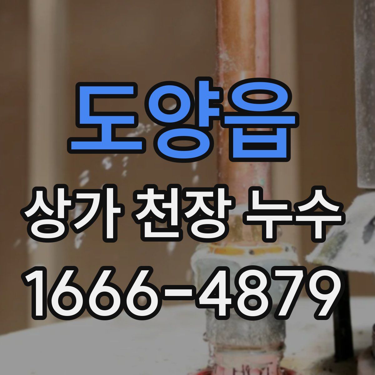 도양읍 상가 천장 누수