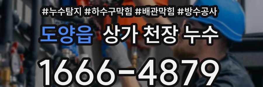 도양읍 상가 천장 누수