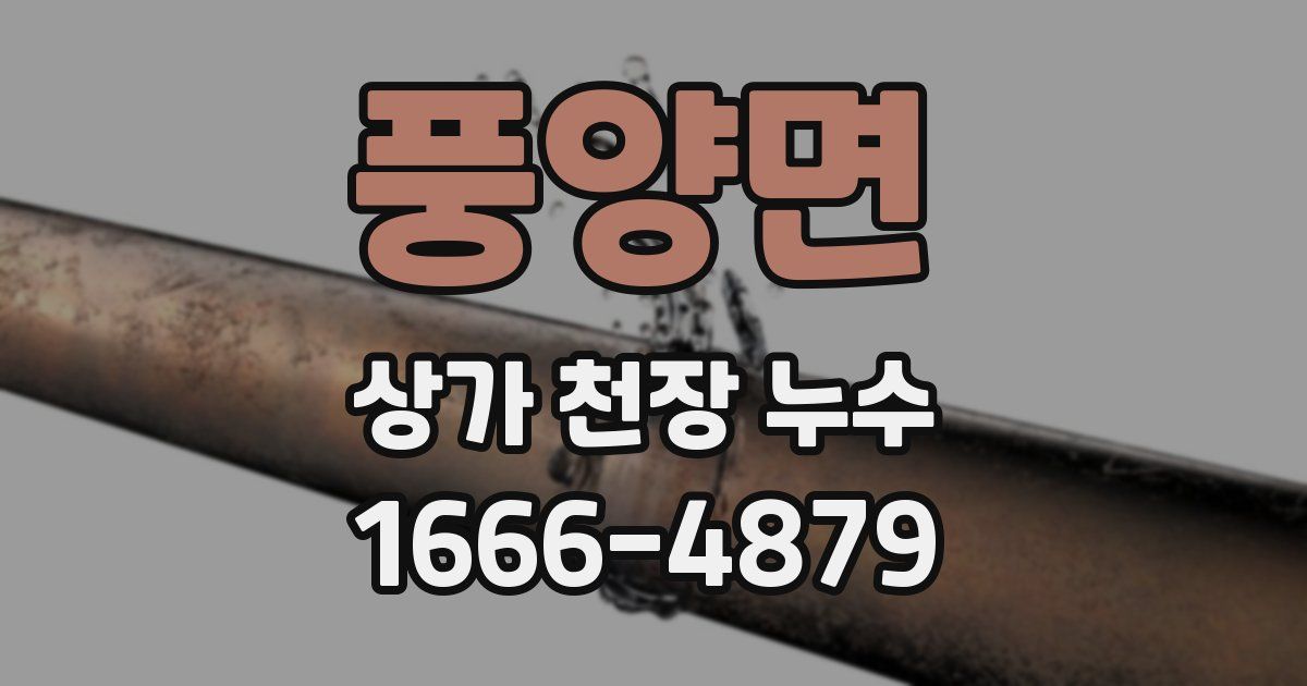 풍양면 상가 천장 누수