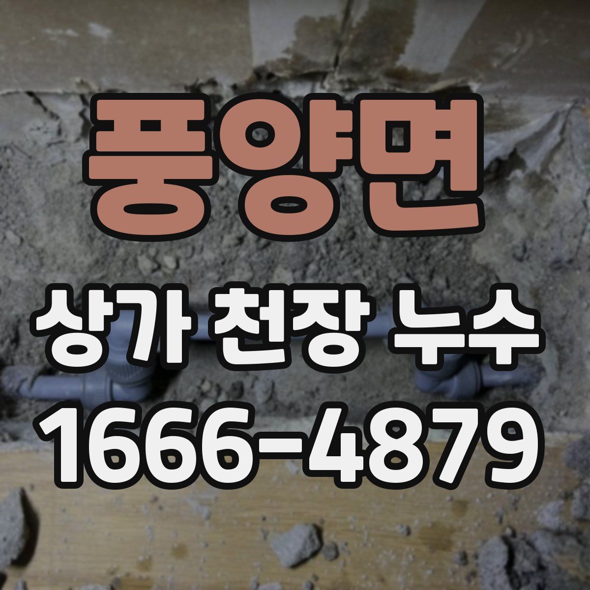 풍양면 상가 천장 누수