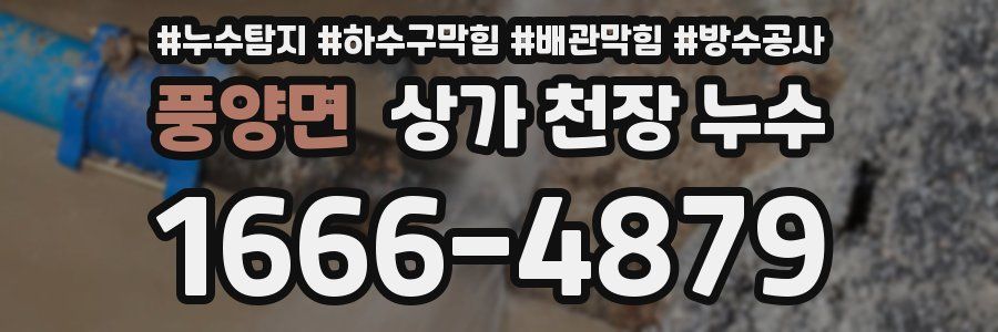 풍양면 상가 천장 누수
