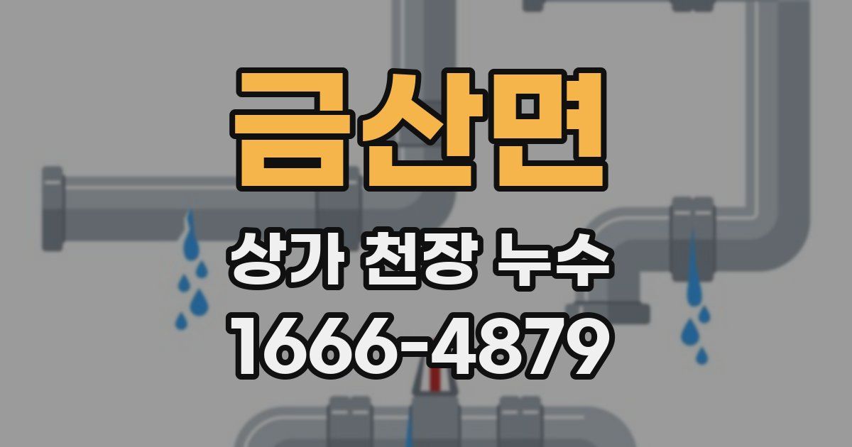 금산면 상가 천장 누수
