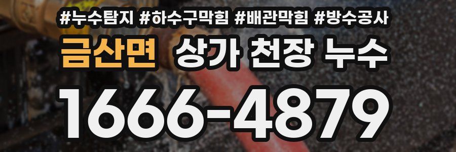 금산면 상가 천장 누수
