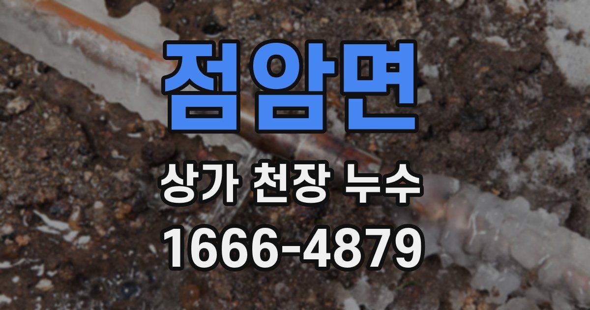 점암면 상가 천장 누수