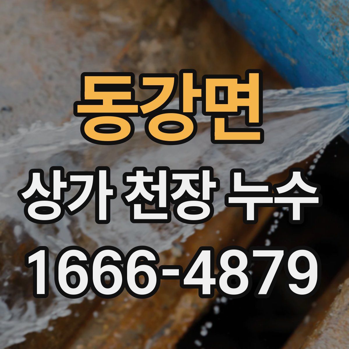 동강면 상가 천장 누수