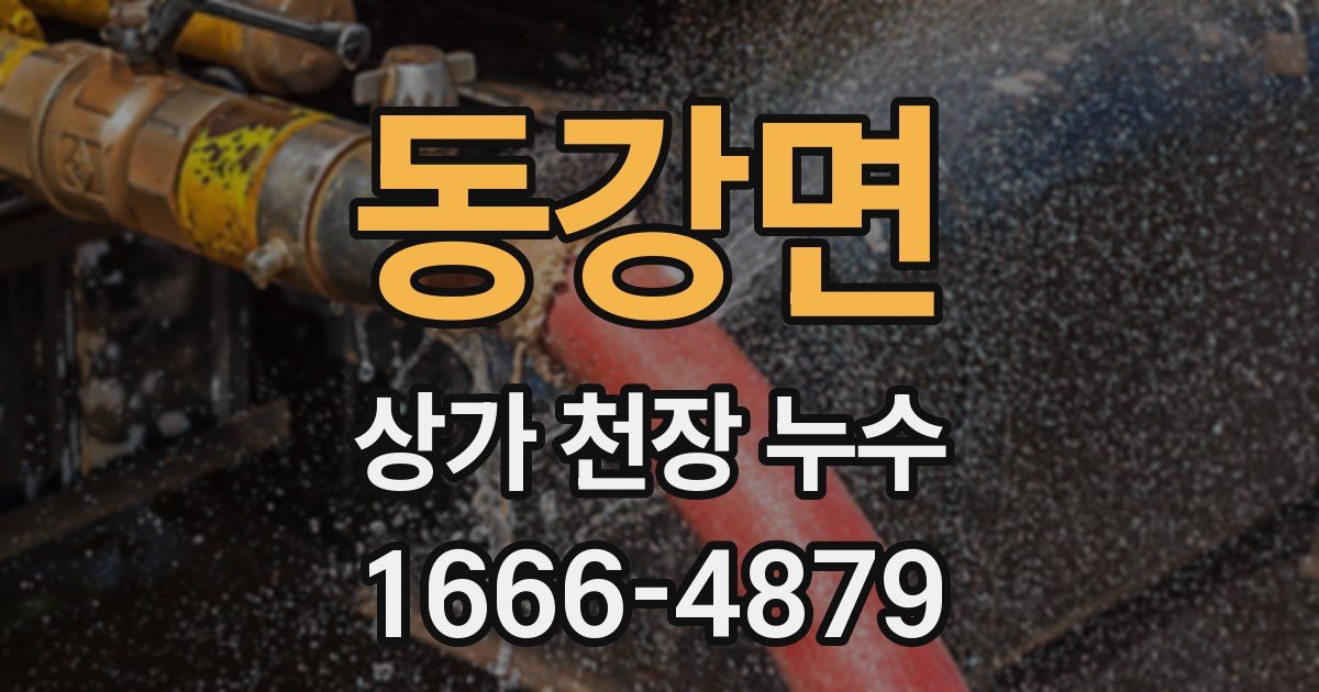 동강면 상가 천장 누수