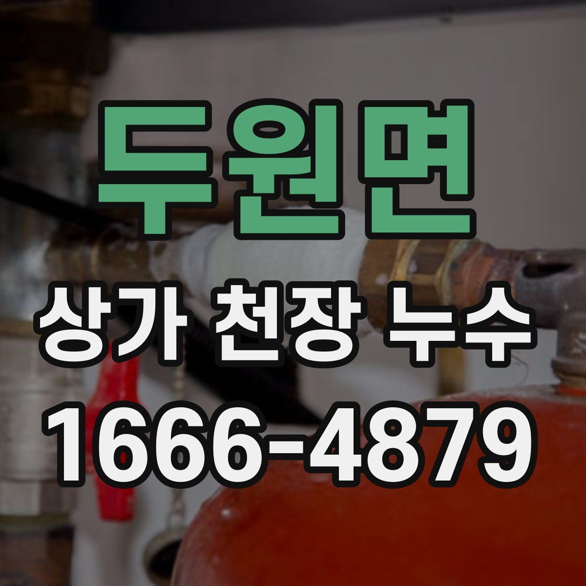 두원면 상가 천장 누수