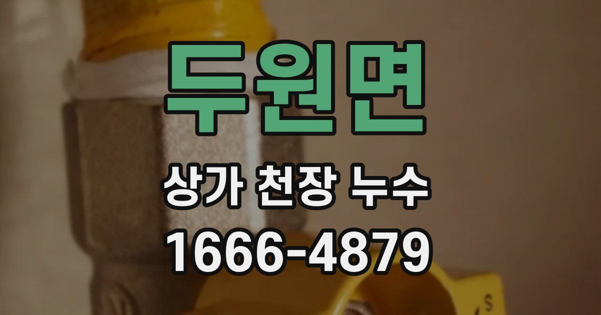 두원면 상가 천장 누수