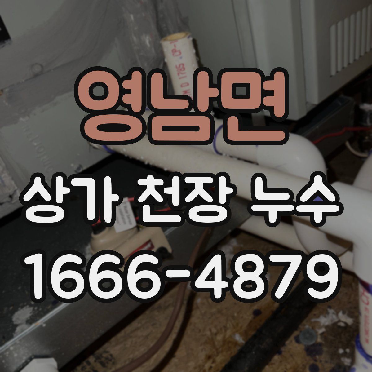 영남면 상가 천장 누수