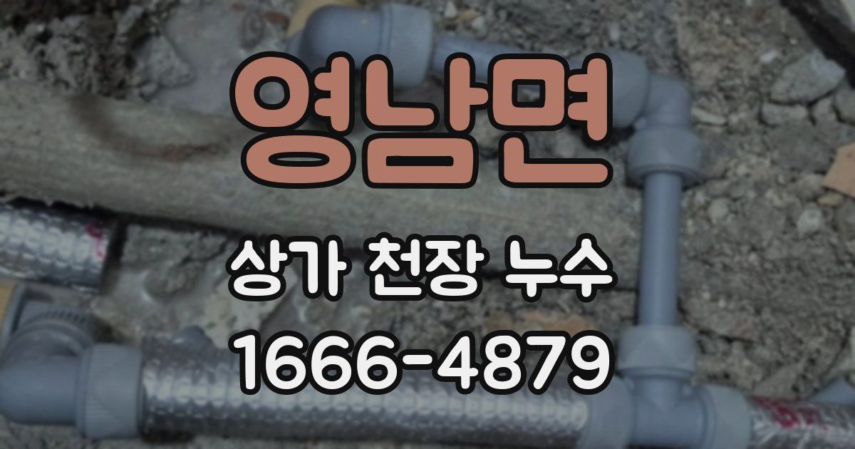영남면 상가 천장 누수