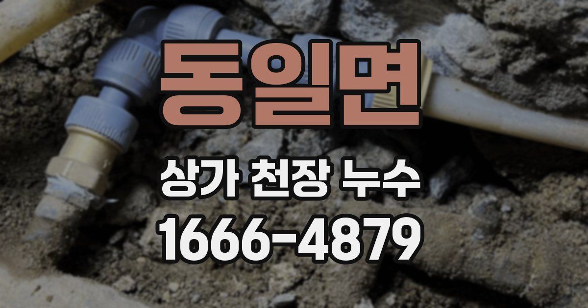 동일면 상가 천장 누수
