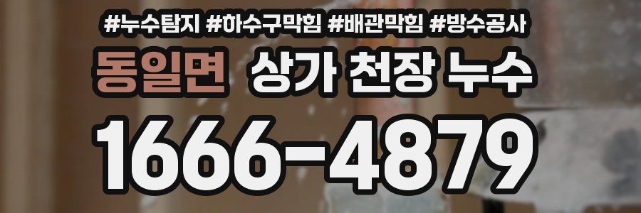 동일면 상가 천장 누수