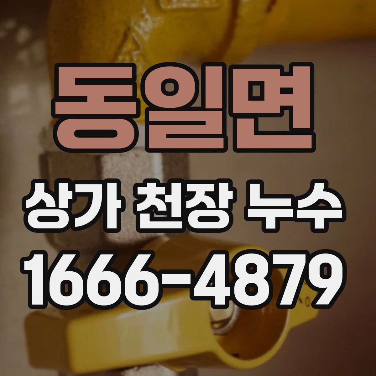동일면 상가 천장 누수