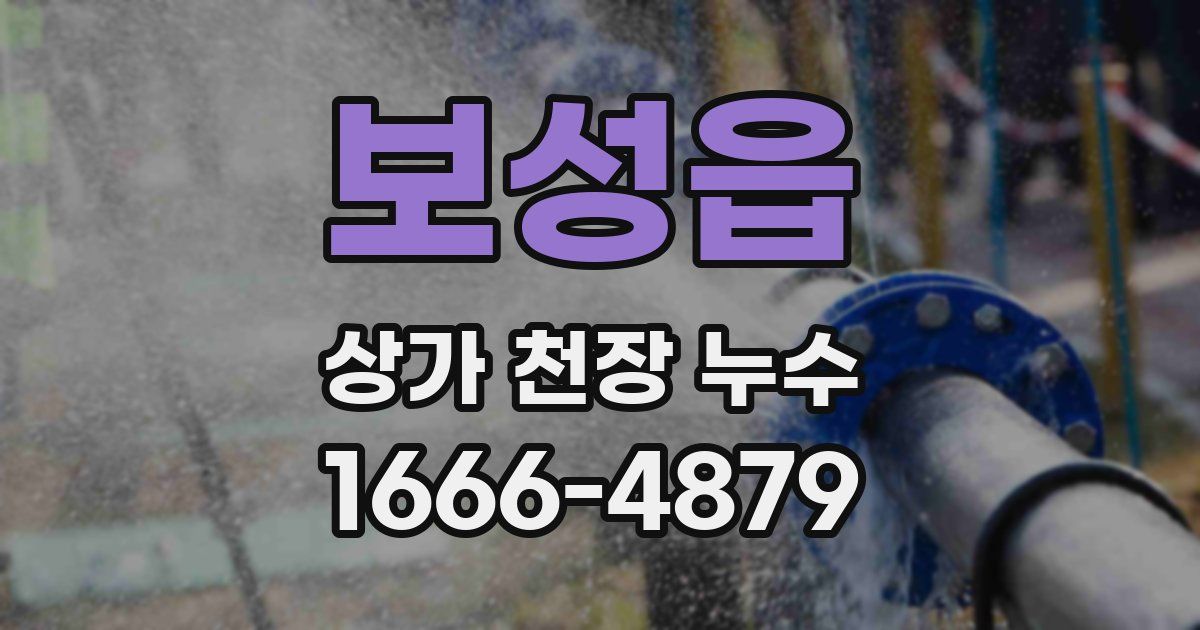 보성읍 상가 천장 누수