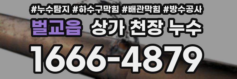 벌교읍 상가 천장 누수
