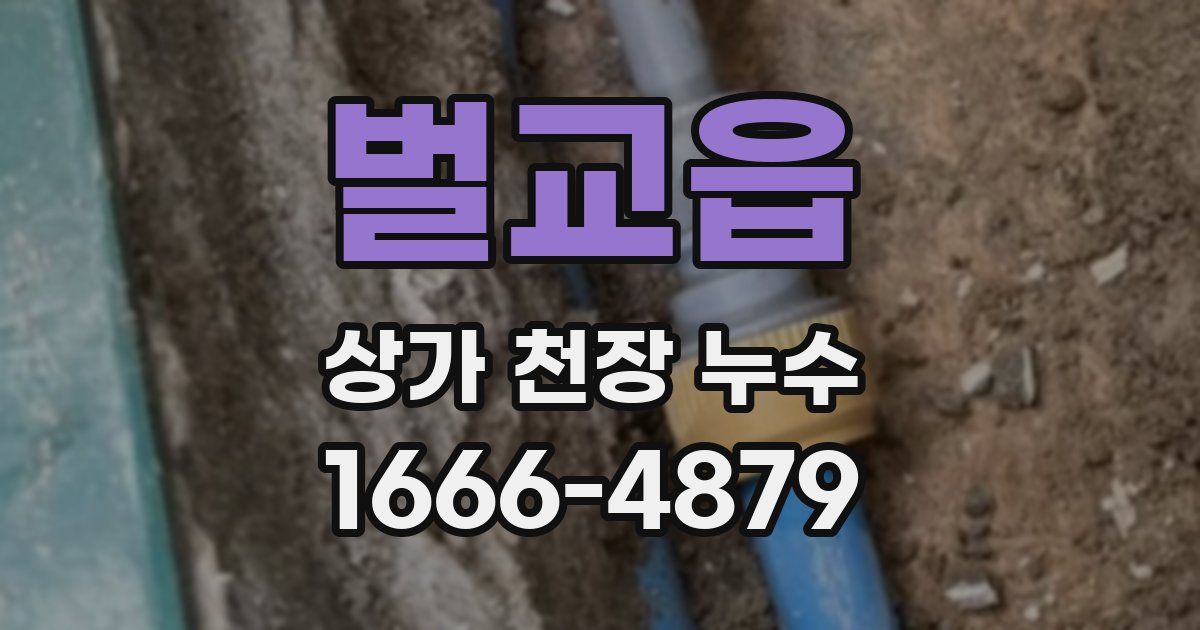 벌교읍 상가 천장 누수