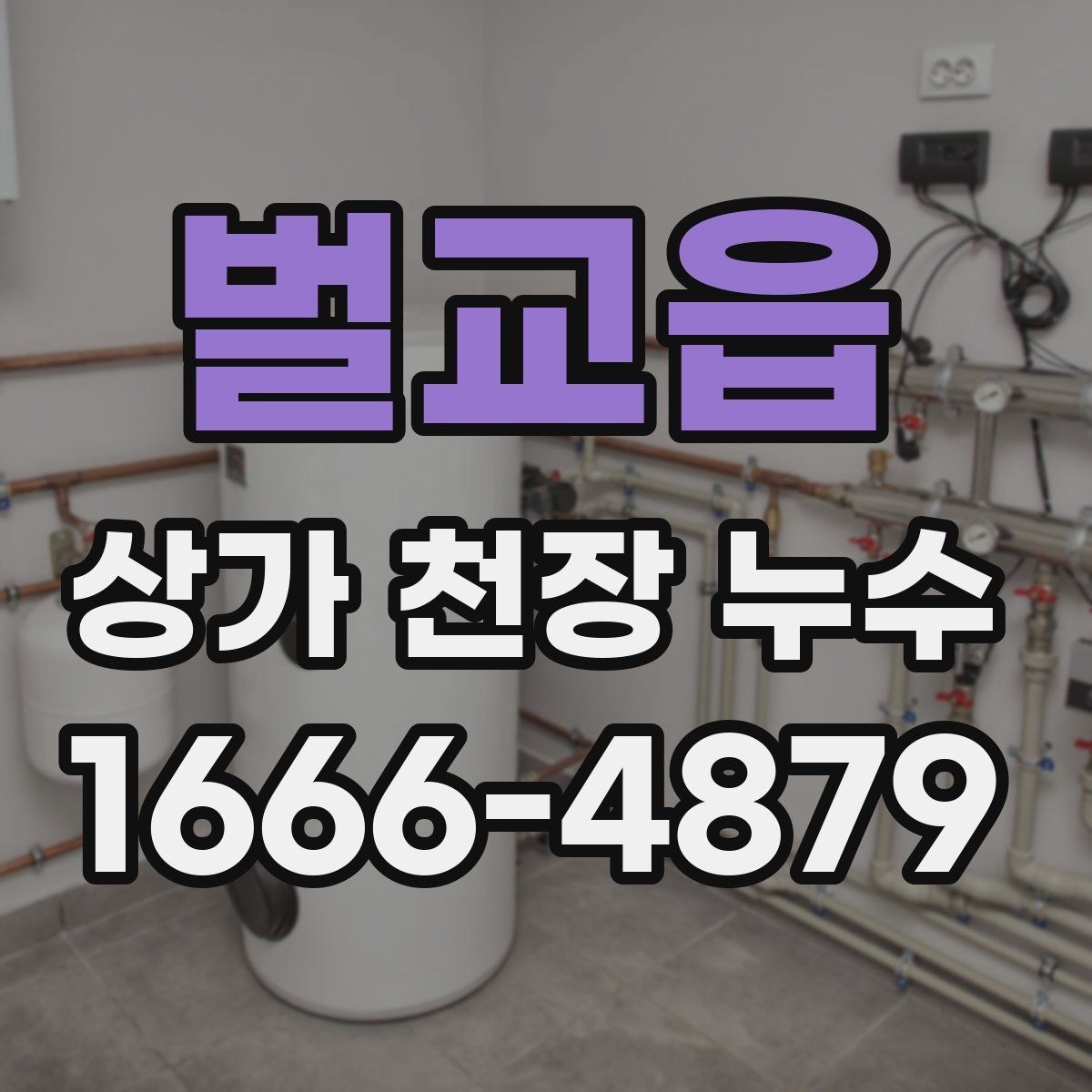 벌교읍 상가 천장 누수