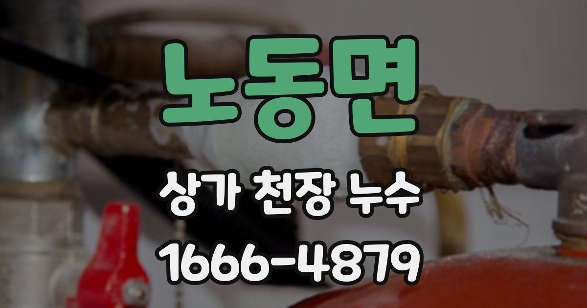 노동면 상가 천장 누수