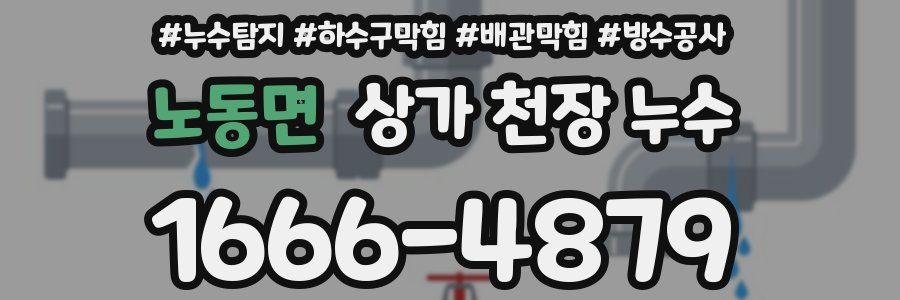 노동면 상가 천장 누수