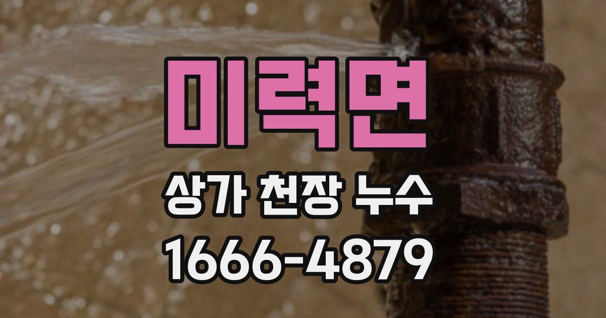미력면 상가 천장 누수
