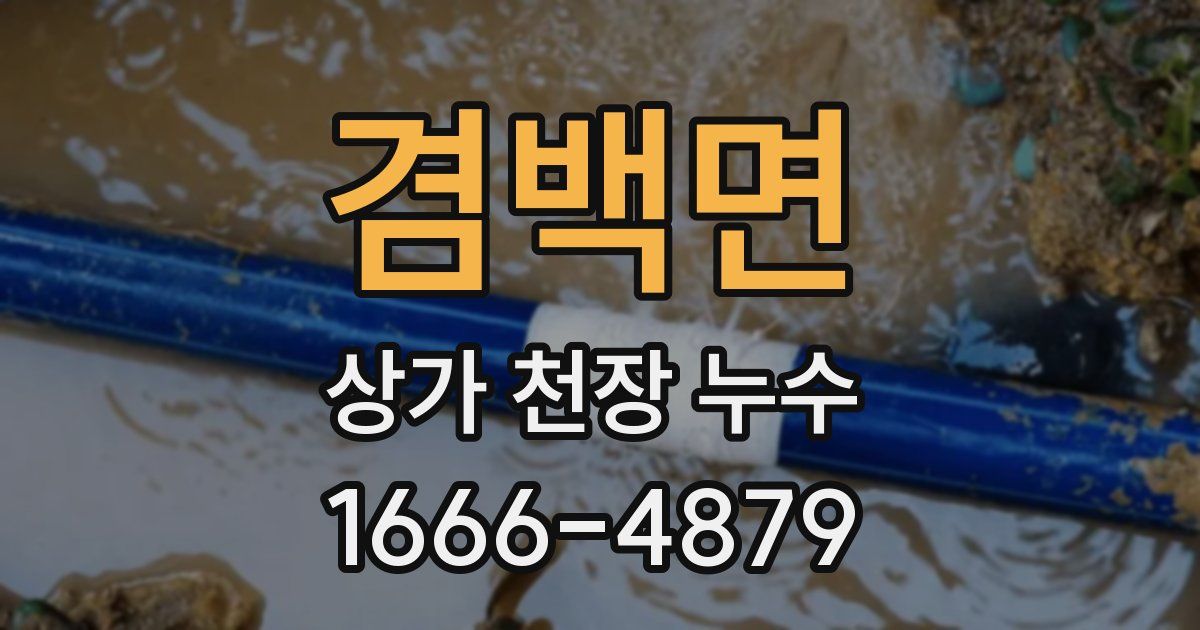 겸백면 상가 천장 누수
