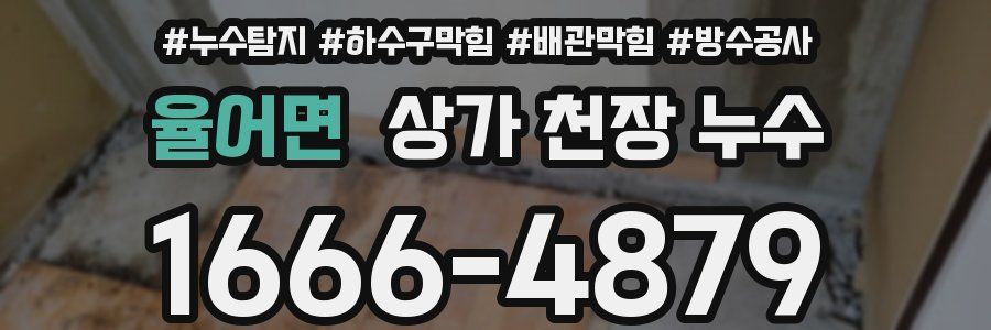 율어면 상가 천장 누수