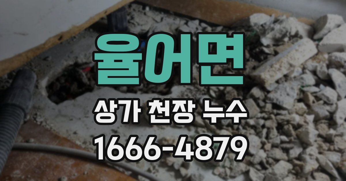 율어면 상가 천장 누수