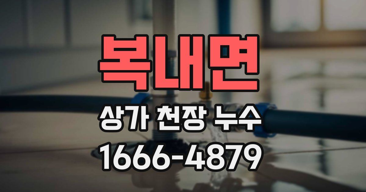 복내면 상가 천장 누수