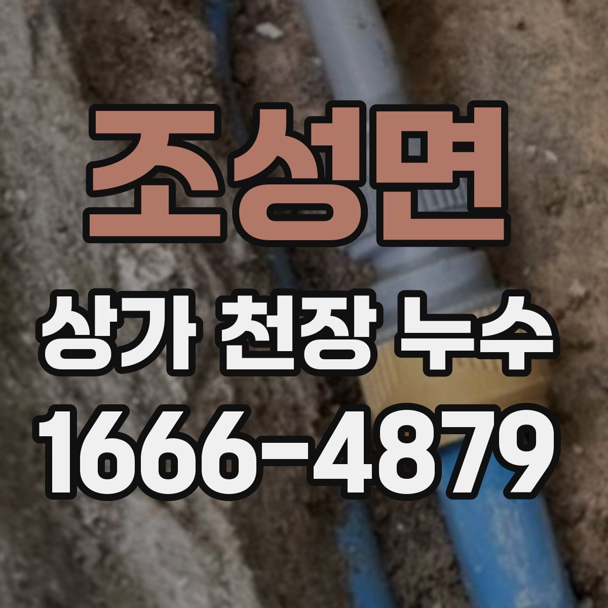 조성면 상가 천장 누수