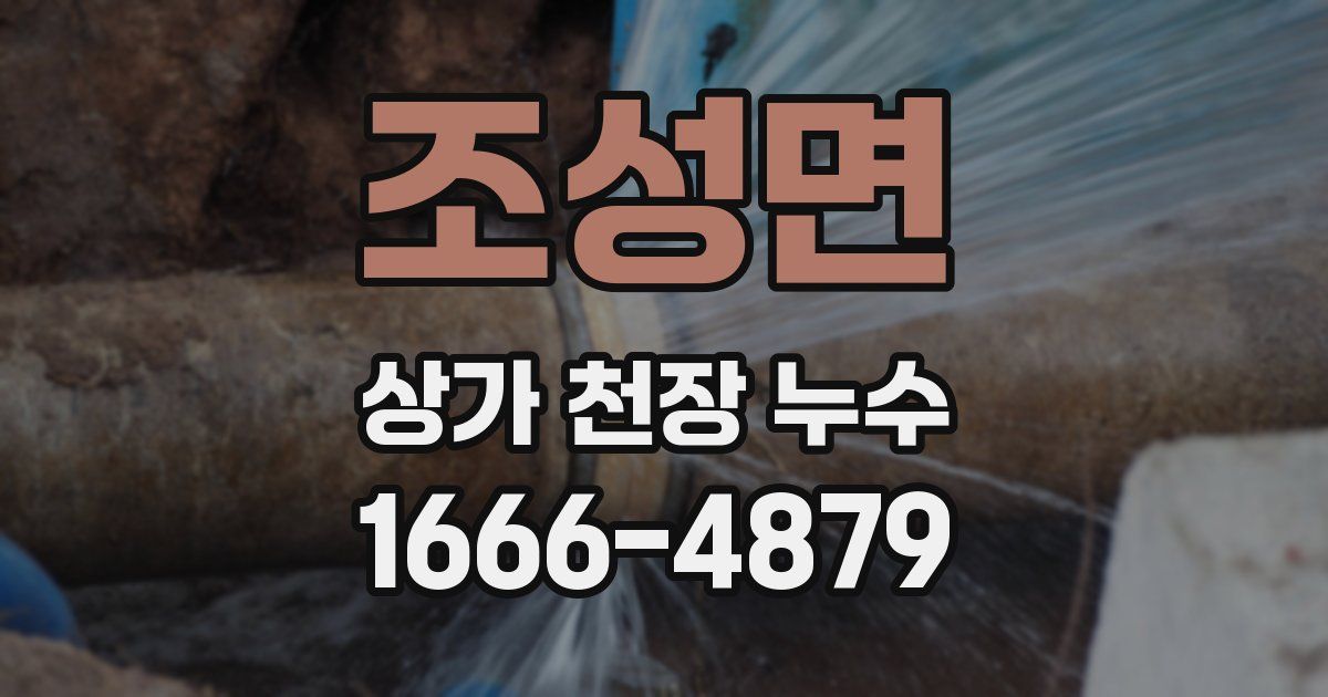 조성면 상가 천장 누수