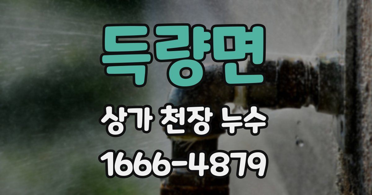 득량면 상가 천장 누수