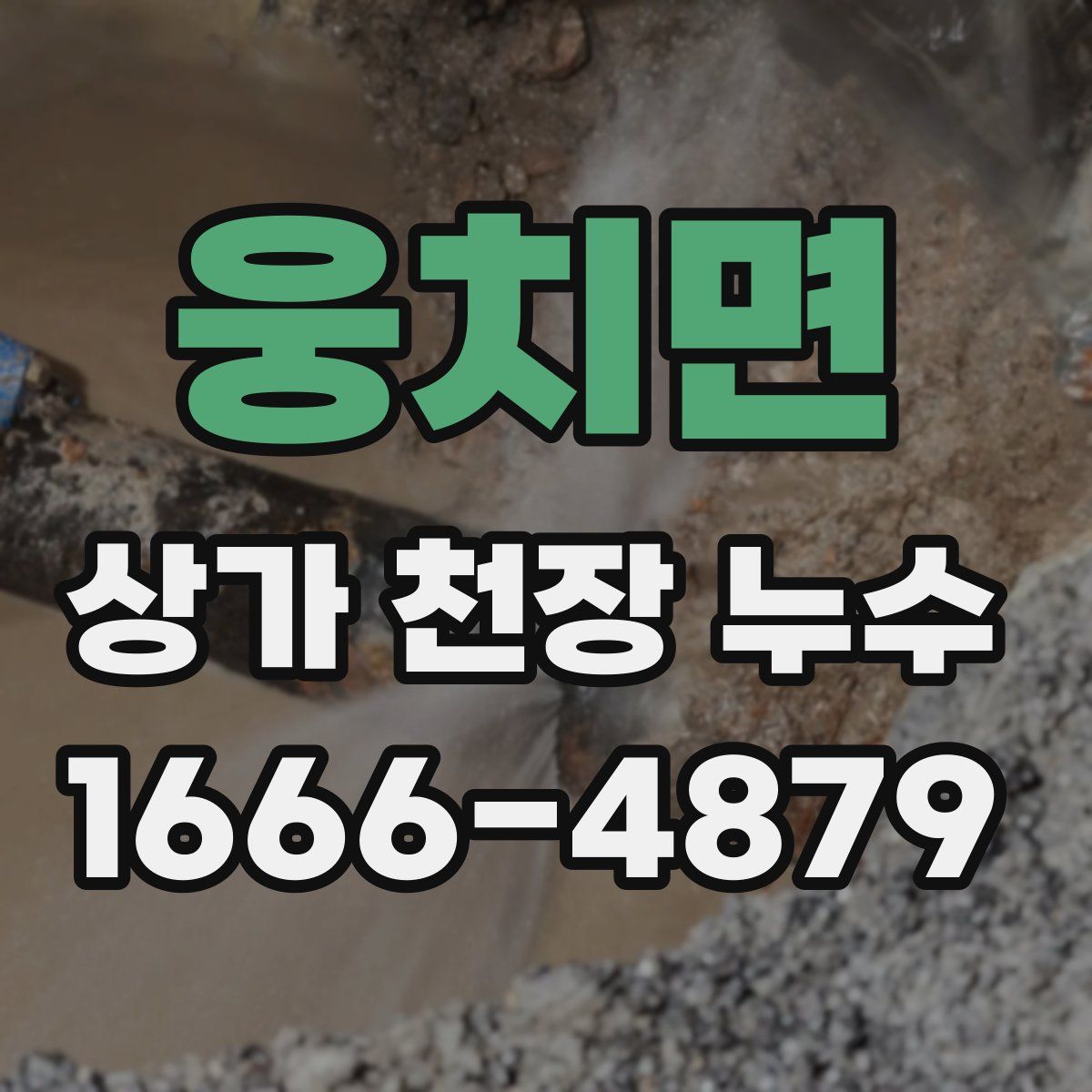 웅치면 상가 천장 누수