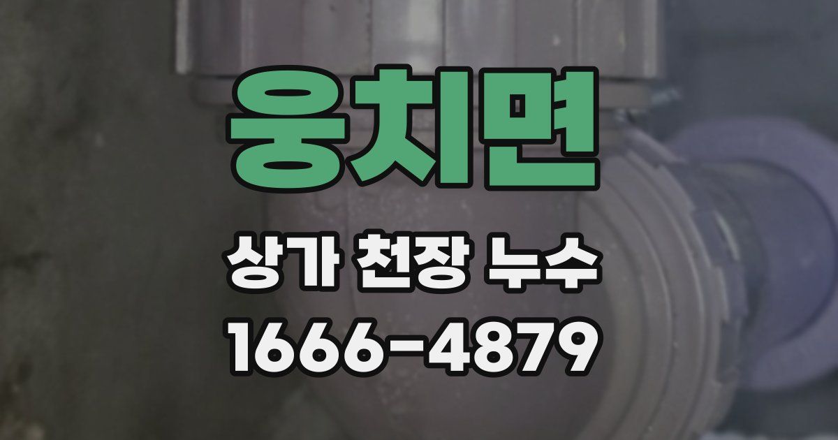 웅치면 상가 천장 누수