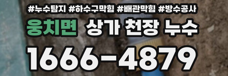 웅치면 상가 천장 누수