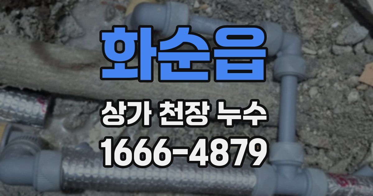 화순읍 상가 천장 누수