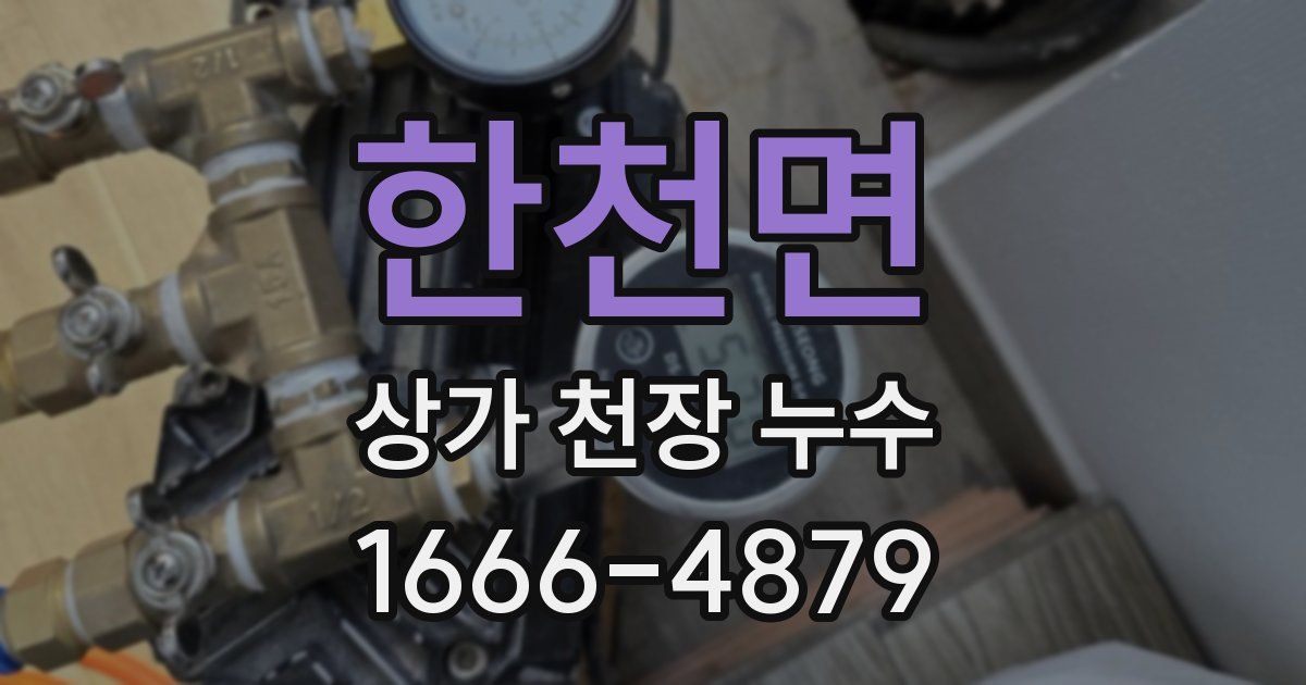 한천면 상가 천장 누수