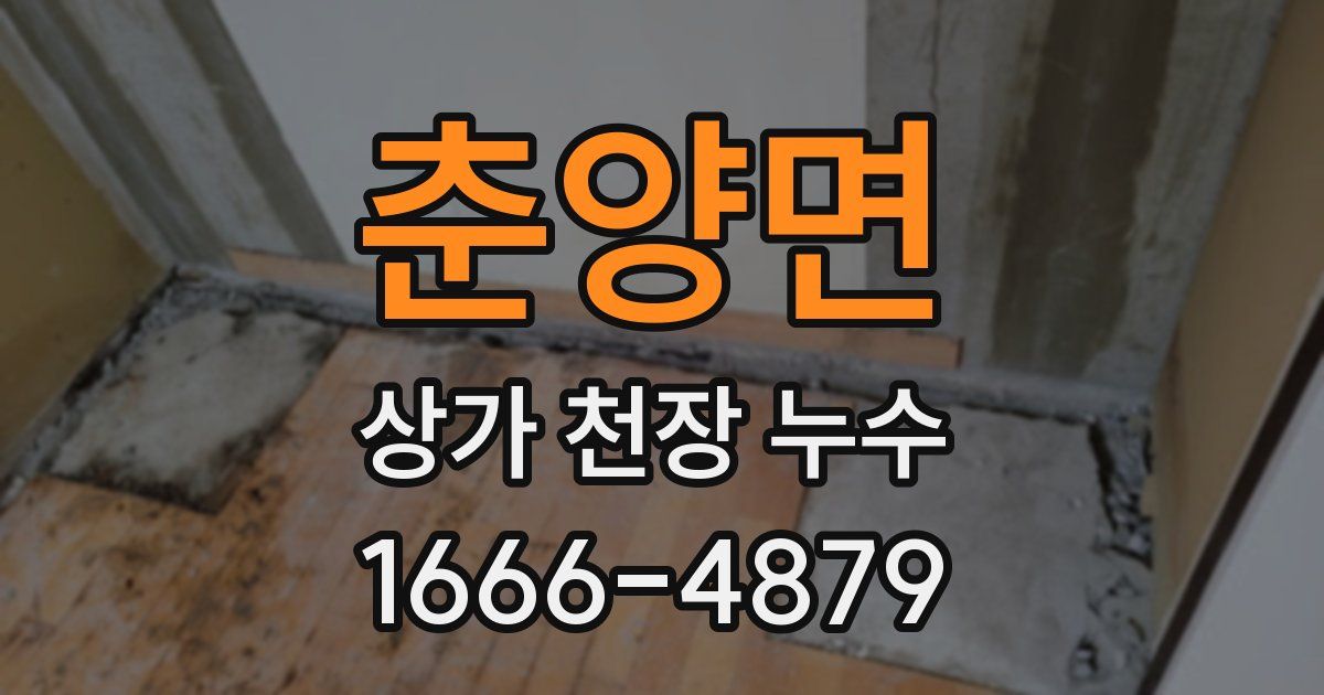 춘양면 상가 천장 누수