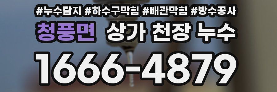 청풍면 상가 천장 누수