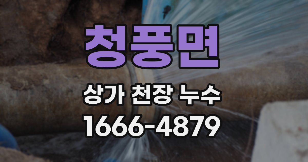 청풍면 상가 천장 누수