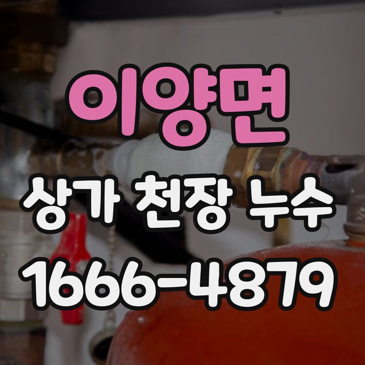 이양면 상가 천장 누수