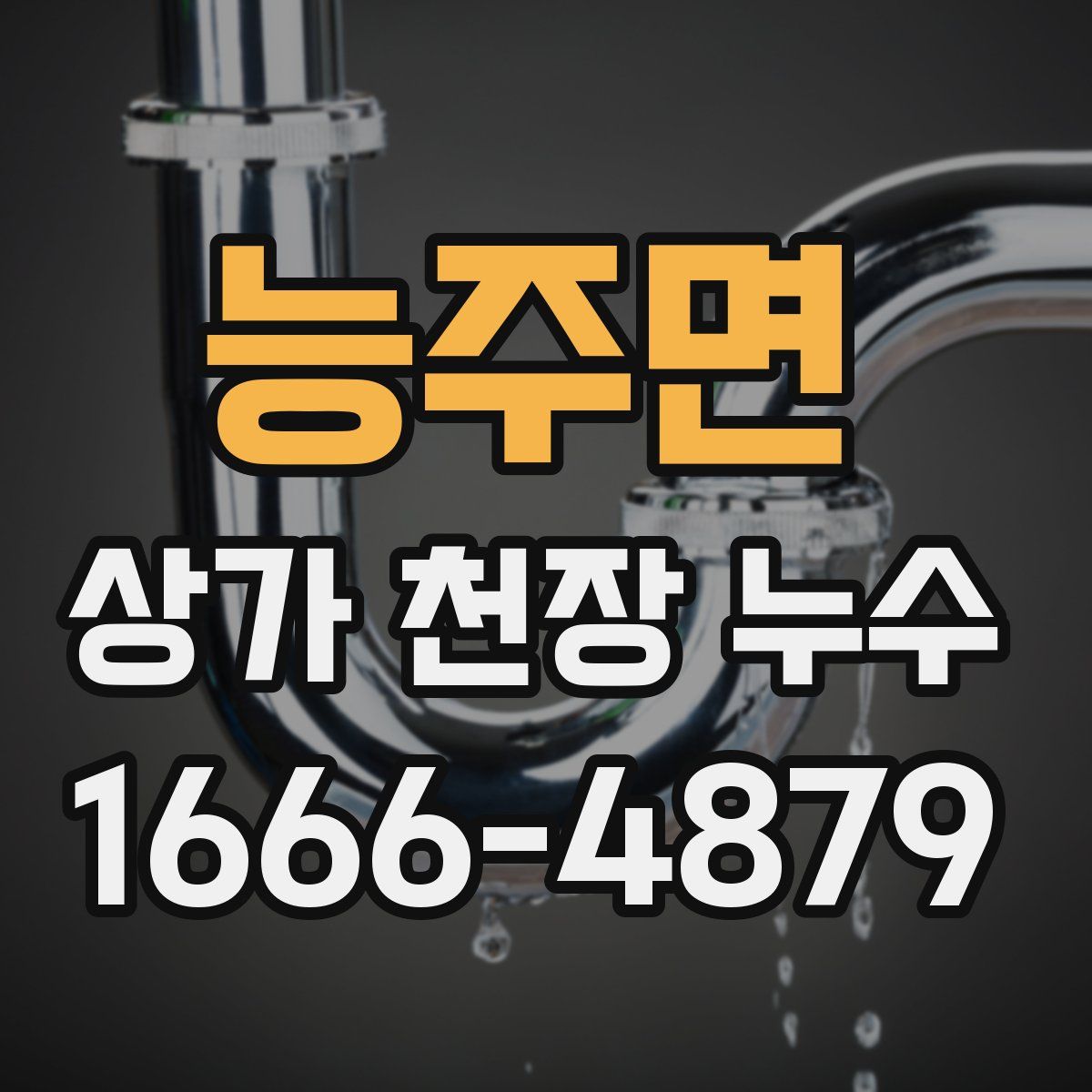 능주면 상가 천장 누수