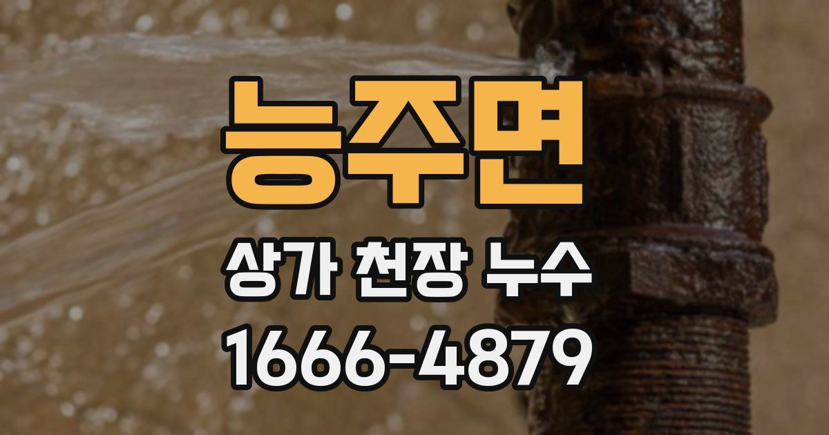 능주면 상가 천장 누수
