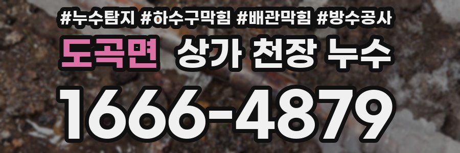 도곡면 상가 천장 누수