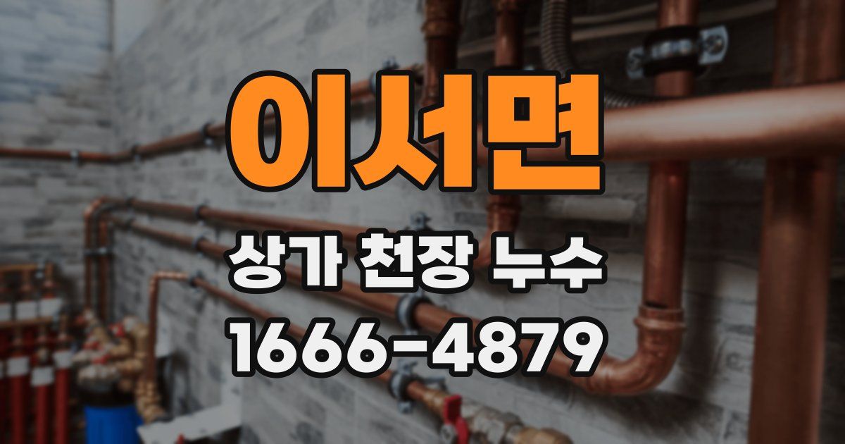 이서면 상가 천장 누수