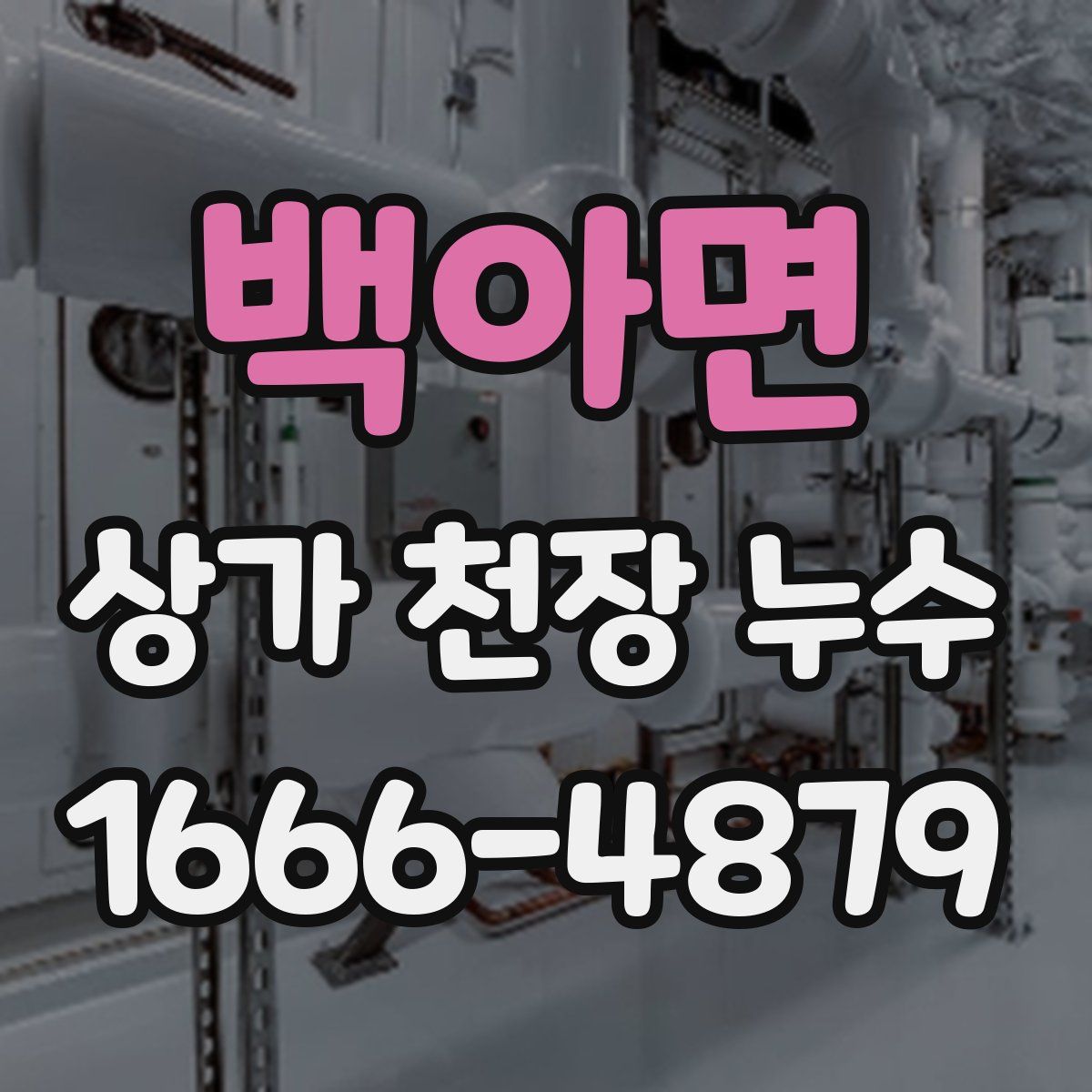 백아면 상가 천장 누수