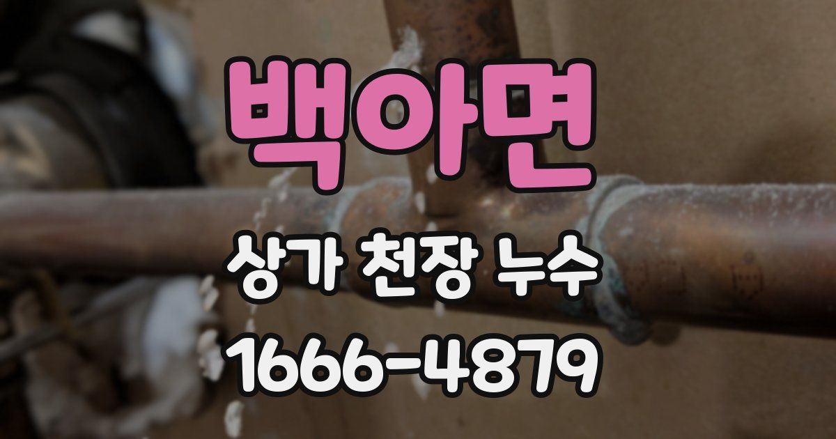 백아면 상가 천장 누수