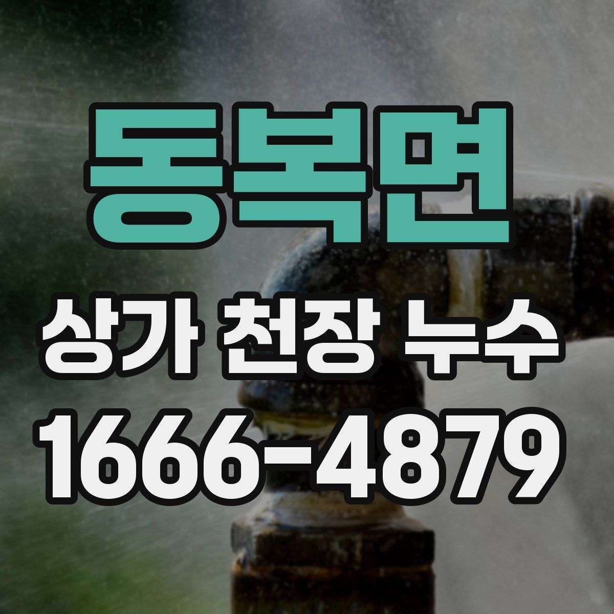 동복면 상가 천장 누수