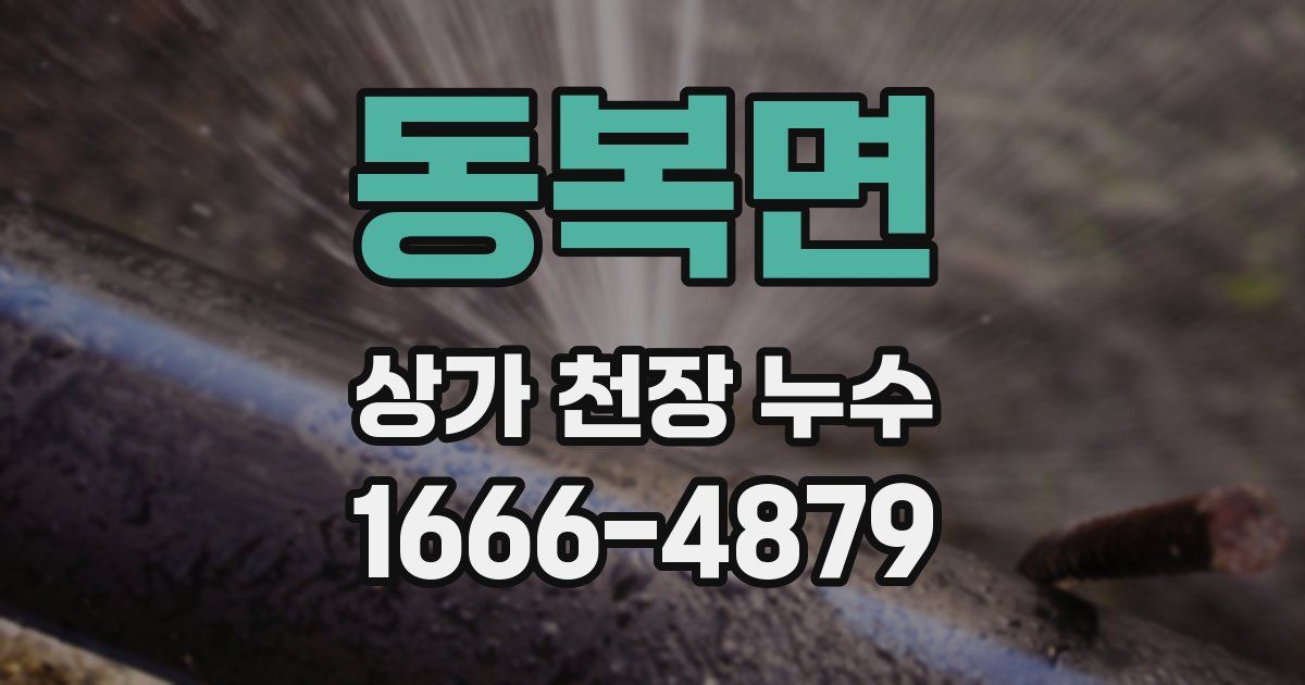 동복면 상가 천장 누수