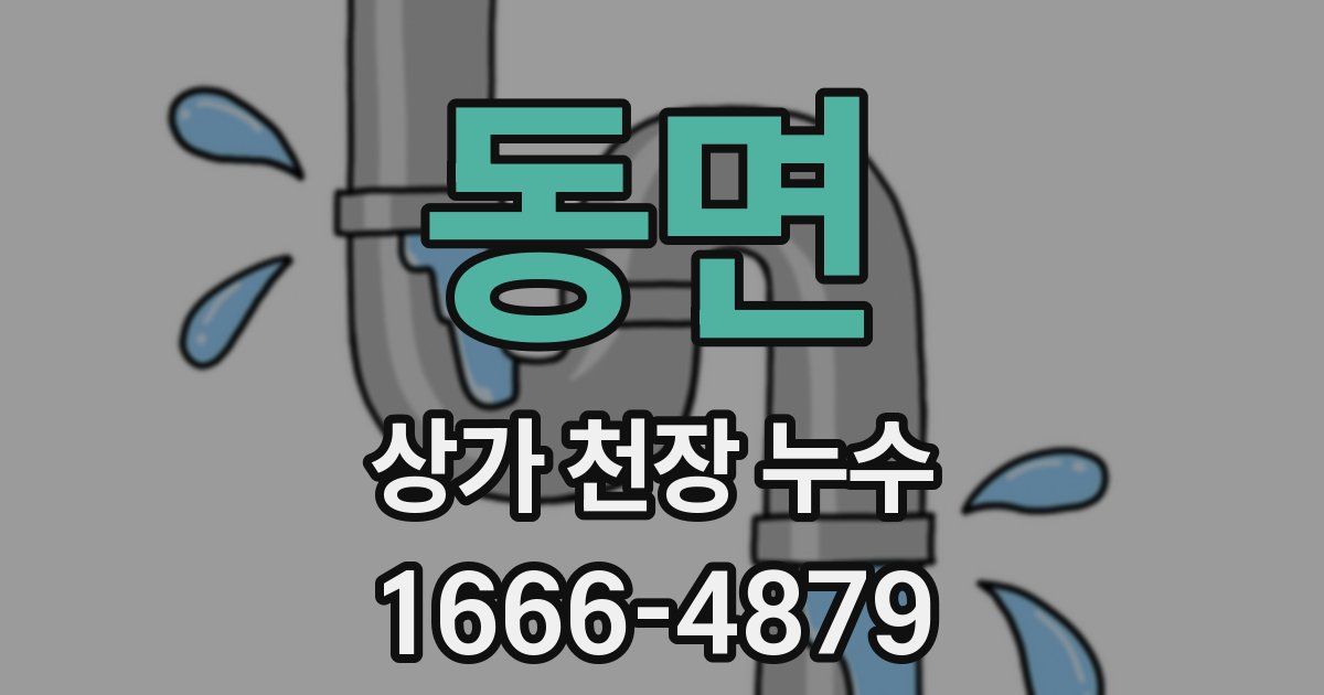 동면 상가 천장 누수