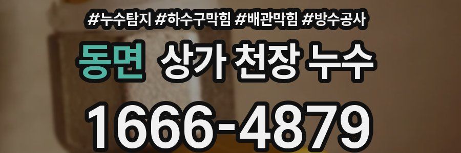 동면 상가 천장 누수